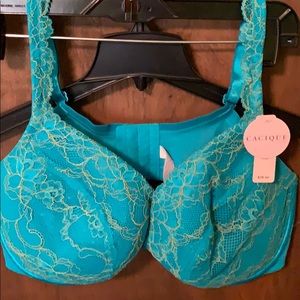 Lane Bryant bra - 44D